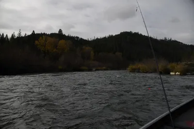 DSC_0218 (Large).JPG